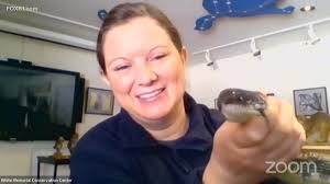 DEEP's 15th annual "No Child Left Inside" winter festival goes virtual