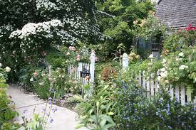 The Perfect English Cottage Garden In The Seattle Area Cottage Garden English Cottage Garden English Cottage
