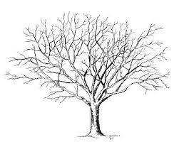 Image Result For Black And White Tree Tree Drawing Tree Graphic Tree Sketches