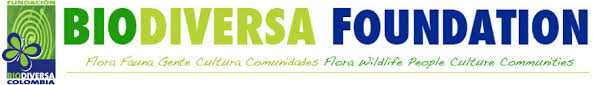 , constituyeron una de las cinco compañías productoras y distribuidoras más grandes de. Fundacion Biodiversa Colombia Winner Of Caracol Tv Environmental Protection Award 2017 The Rufford Foundation