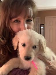 Want to see more of these cuties (the puppies that is!)? Course you do.  Follow me