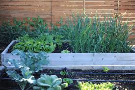View latest posts ⋅get bloggers contacts. Crop Planning A Year In My Home Garden Seattle Urban Farm Company
