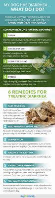 For large dogs, give about 2 or 3 tablespoons per day. How To Help Fix My Dogs Diarrhea Quora