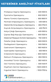 kedi ic dis parazit asisi fiyati 2020 kedi hayvanlari blog