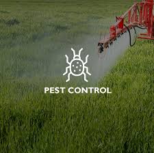 You could always call in a professional san antonio pest control service to do this job as they will have a lot more experience with weeds and know how to use the herbicides safely and. Home New England Lawn Care Inc Western Massachusetts