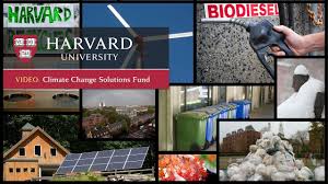 Site resources include supply statistics and projections, research, market reforms, and research into new sources of energy. Catalyzing Climate Change Solutions Youtube