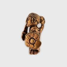 Image result for Triumfetta amuletum