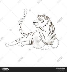 Tiger Digital Clip Art Image Photo Free Trial Bigstock How to draw a cute little tiger (cartoon), easy step by step drawing lesson tutorial for kids, adults and beginners magicbox. tiger digital clip art image photo