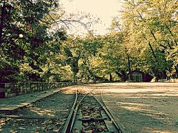 ÎÏÎ¿ÏÎ­Î»ÎµÏÎ¼Î± ÎµÎ¹ÎºÏÎ½Î±Ï Î³Î¹Î± Î¨Î·Î»Î¬ ÏÏÎ· Î»Î¯ÏÏÎ± Î¼Îµ ÏÎ± Î±Î³Î±ÏÎ·Î¼Î­Î½Î± ÏÎ·Î»Î¹Î¿ÏÎµÎ¯ÏÎ¹ÎºÎ± ÏÏÏÎ¹Î¬, Î¿Î¹ ÎÎ·Î»Î¹Î­