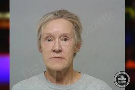 Barbara Brookins — Bibb County Jail Bookings