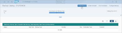 A full backup is used in the first backup, and the following scheduled backups are incremental backups, which is faster and saves more local storage. Database Backup Sap Hana Cockpit Veeam Plug Ins For Enterprise Applications