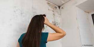 Schimmel In Der Wohnung Wann Wird Schimmel Gefahrlich 21 Grad
