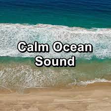 Download free ocean sound effects in mp3 or wave format, professionally recorded and 100% royalty free. Album Calm Ocean Sound Calming Waves Qobuz Download And Streaming In High Quality