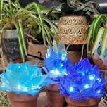 Sea Glass Succulents