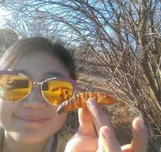 Rhys (The Conservation Conversation)