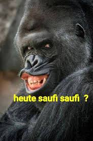 Maybe you would like to learn more about one of these? 36 Affen Ideen In 2021 Lustige Bilder Affen Lustig