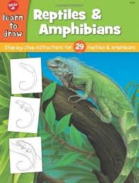 How To Draw Reptiles And Amphibians Book For Young Artists Pet Care Is Both En En 2020 6 Years