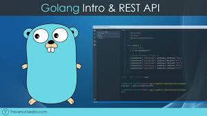 Golang Rest Api With Mux Https Morioh Com P Dc73d63d305c F 5c22e47440738156a7 In 2020 Mobile App Development Companies App Development Companies Scripting Language