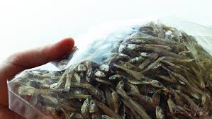 Kami adalah pembekal ikan bilis mata biru langkawi pada harga borong. Borong Ikan Bilis Mata Biru Di Sandakan Central Market Sunah Suka Sakura