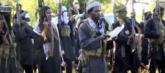 Download iswap for ios to iswap is an high quality image processing app that lets you change color on any digital image while keeping light and shadows just as they were. Revealed Iswap Isis Plan To Sack Boko Haram From Its Network Thickens Aljazirahnews
