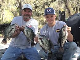 Dr paul maxwell says the public is becoming more aware about the need for healthy waterways. How To Catch A Limit Of Crappies 5 Tactics From The Pros