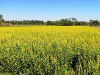Mukteshwara Temple, Haveri - Tripadvisor