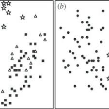 Collie herb man mixed with the sound system me got some good karma, it's good marijuana come share it with me yeah collie herb man mixed with what would you say if a collie man comes for you yeah? Pdf Morphological Variation In Leptorhynchos Squamatus Gnaphalieae Asteraceae