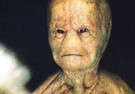 Fire in the sky is one of the best alien movies I've ever seen and hardly  anyone knows about it. While I personally don't believe in aliens this  movie made me afraid