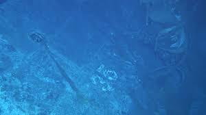 The indianapolis was found 5,500 meters below the surface. Pbs Broadcast Shows Uss Indianapolis Is A Well Preserved Hull Usni News