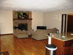color ideas for kitchen/living room