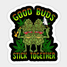 See more of 420 on facebook. Marijuana 420 Couples Cannabis Funny Quotes Humor Sayings Gift Marijuana Aufkleber Teepublic De