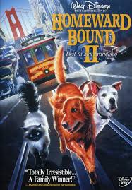 The pets from 'homeward bound' (1993): Homeward Bound Ii Movieguide Movie Reviews For Christians