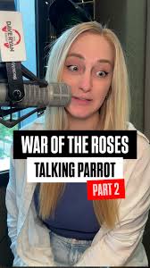 The Dave Ryan in the...