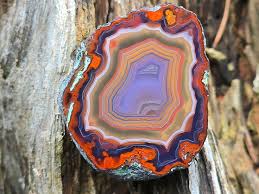 Image result for Agate Red Brown 1956 Wayne Works