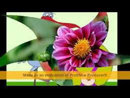 Sa fii sanatoasa, norocoasa si sa ai parte de multe bucurii! La Multi Ani Ramona Youtube