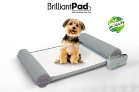 Bernese mountain, labrador retriever, siberian husky, dalmatian, terrier, border collie, beagles, german shorthaired pointer. Brilliantpad Self Cleaning Indoor Dog Potty Indiegogo