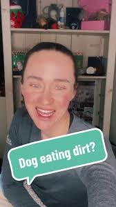 Does your dog eat dirt instead of sniffing? #smalldogsoftiktok #dogwal...