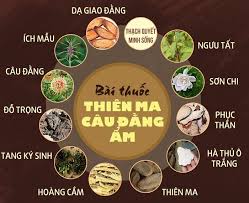 PHƯƠNG PHÁP ĐIỀU TRỊ HUYẾT ÁP CAO BẰNG ĐÔNG Y - Bệnh viện đa khoa Hóc Môn