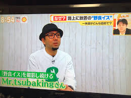 Mr.tsubaking on X: TBS グッとラック ご覧頂いた方ありがとうございました！ 番組内では「通称  野良イス」とありましたが、野良イス は僕の造語です。  思いやりと不法投棄の両面からの見解を書いた野良イス小冊子も27日に発売しますし、番組内で着ていた野良イスT ...