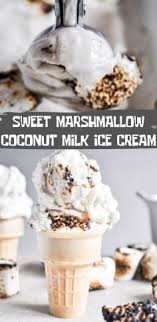 Sweet Marshmallow Coconut Milk Ice Cream Chessy Notes Coconut Milk Ice Cream Food Ice Cream Recipes