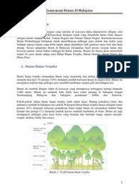 Buah rambutan termasuk jenis buah bergerombol dengan kulit buah berambut dengan warna hijau saat muda dan akan berubah menjadi merah saat matang. Jenis Hutan Di Malaysia Pdf