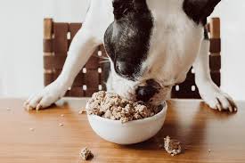 We did not find results for: These 8 Dog Food Delivery Services Are Recommended By Vets