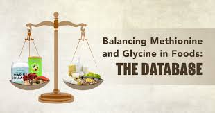 Balancing Methionine And Glycine In Foods The Database