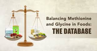 balancing methionine and glycine in foods the database