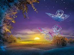 Visions Papel Pintado De Mariposa Fondos De Pantalla Naturaleza Mariposas Fondos De Pantalla