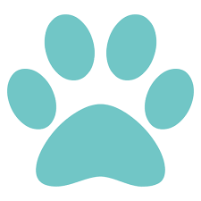 Maybe you would like to learn more about one of these? Leading Vet In Mount Vernon Wa Wellhaven Animal Care Center