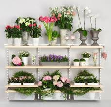 Latitudes from the observations of travellers may generally be trusted, but longitudes should be accepted with caution; Pin By Ferdinand Santos On Shelving Solutions Elfa Flower Shop Display Elfa Craft Room