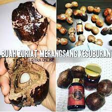 Dalam pada itu, terdapat kajian yang menyimpulkan bahawa terdapat perkaitan antara kesuburan wanita dengan jenis makanan yang 8 jenis makanan untuk subur bagi wanita. Makanan Sunnah Untuk Kesuburan Wanita San Coiy