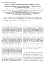 Image result for Kyllinga robinsoniana