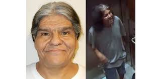 Toronto police looking for man described as 'high-risk' sexual offender who  breached conditions